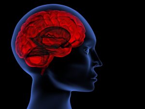 San Diego Brain Injury Lawyer